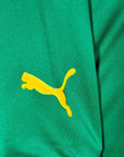 2004 - 06 Cameroon Home Shirt Eto'o 9 - 7.5/10 - (L) - Eternal Pitch