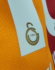 2013 - 14 Galatasaray Home Shirt Sneijder 10 - 9.5/10 - (M) - Eternal Pitch