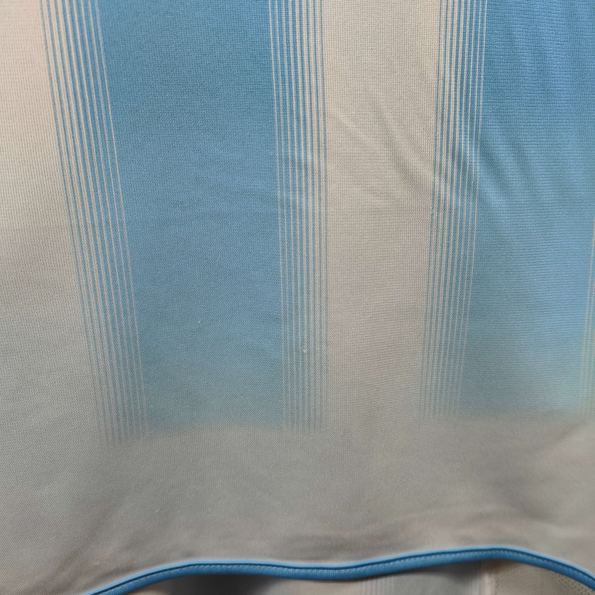 2004 - 05 Argentina Home Shirt Tevez 11 - 9/10 - (L) - Eternal Pitch