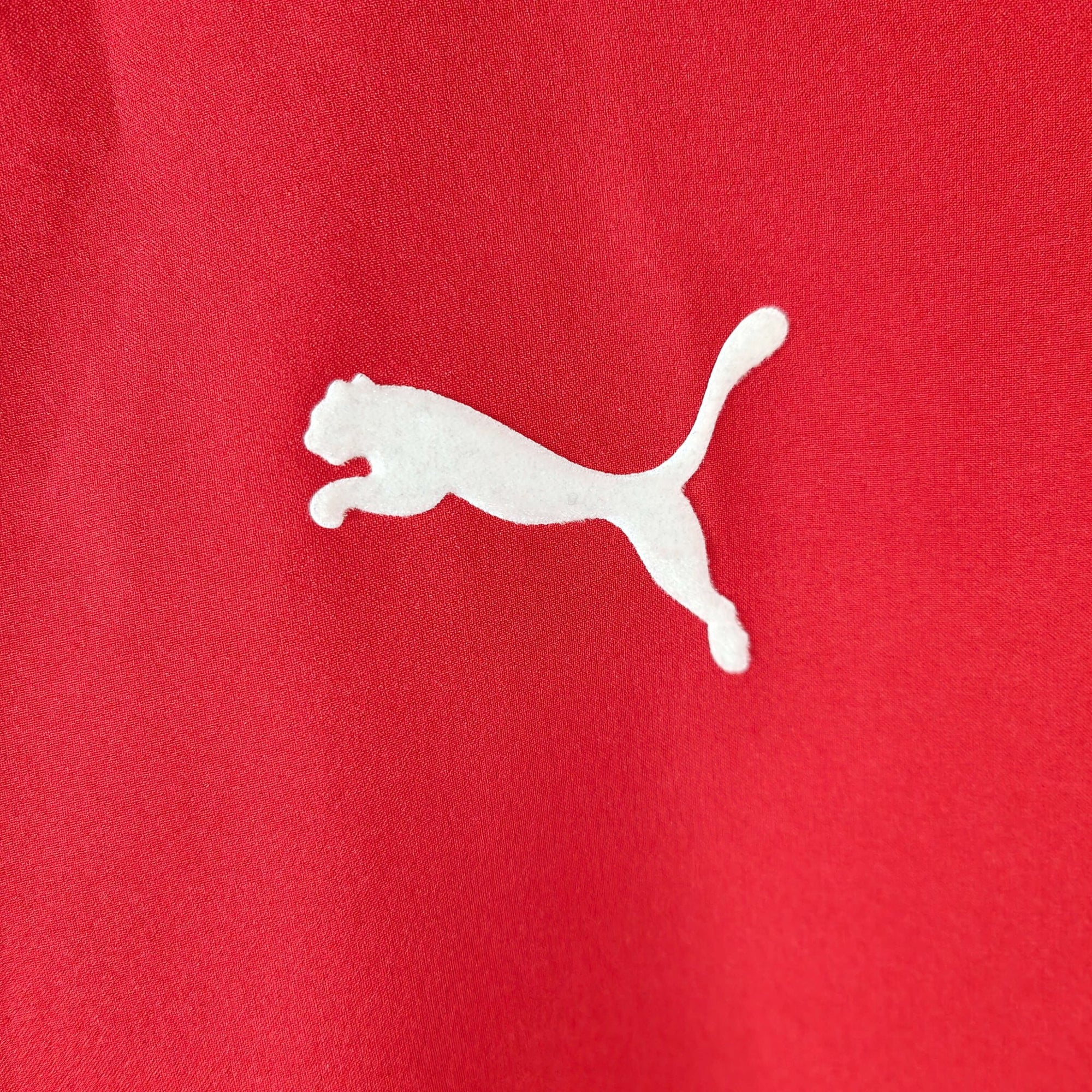 2004 - 06 Switzerland Home Shirt Chapuisat 11 - 8.5/10 - (L) - Eternal Pitch