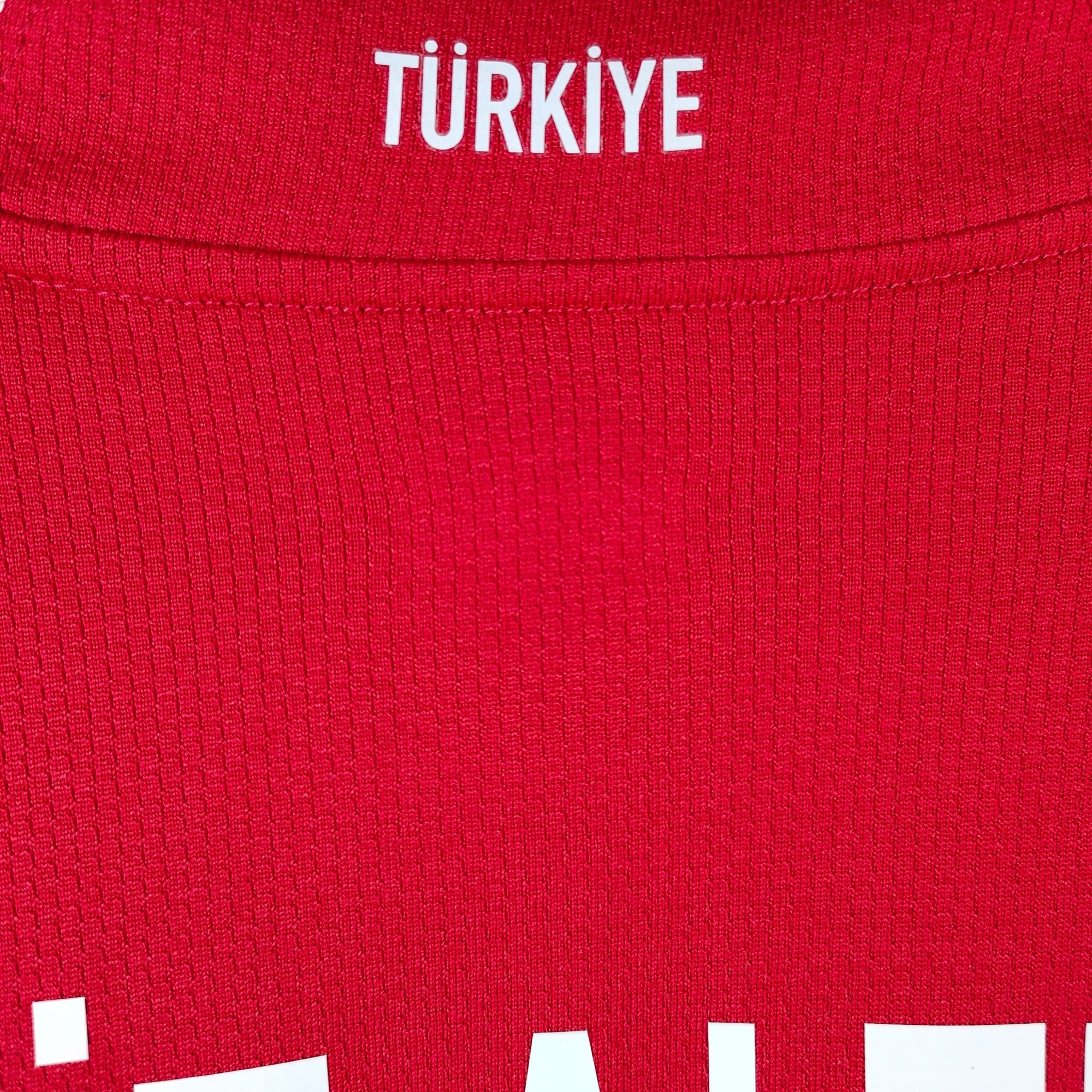 2008 - 09 Turkey Home Shirt Hamit Altintop 22 (XL) - Eternal Pitch