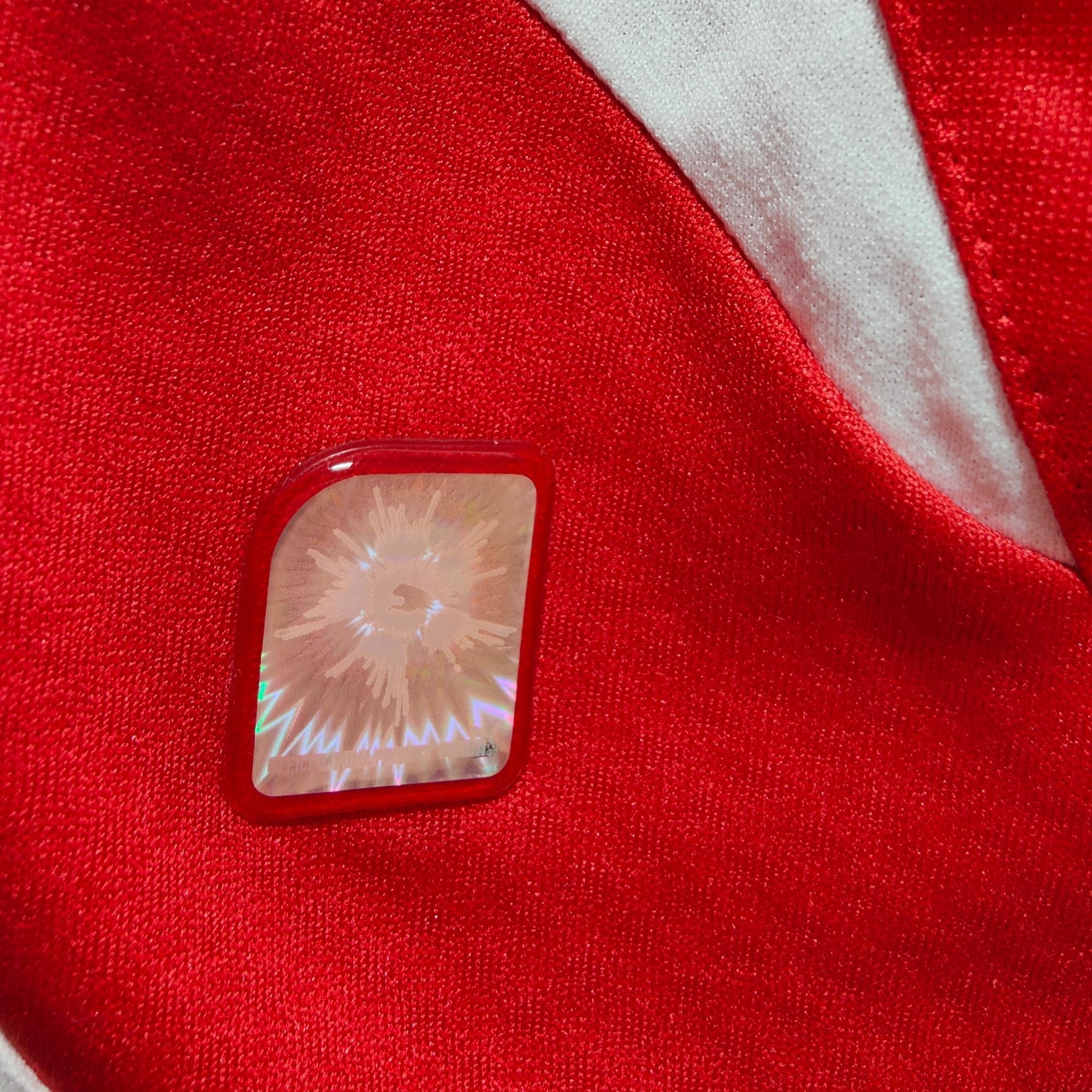 2010 - 11 Switzerland Home Shirt Frei 9 - 9/10 - (L) - Eternal Pitch