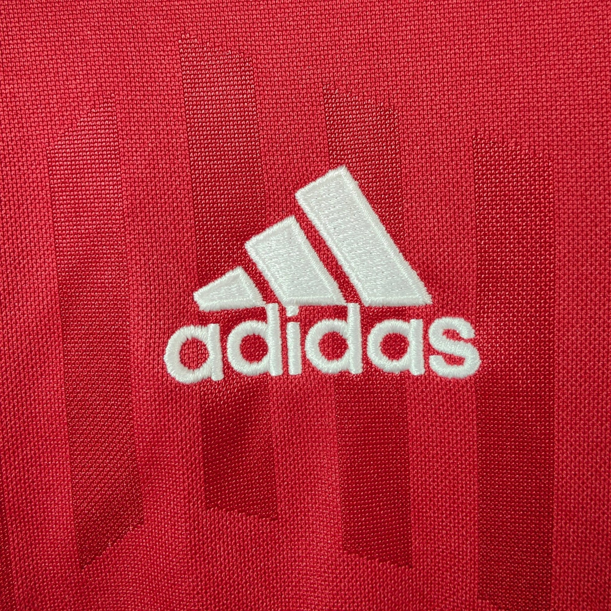 2012 - 13 Denmark Home Shirt - 9.5/10 - (M) - Eternal Pitch