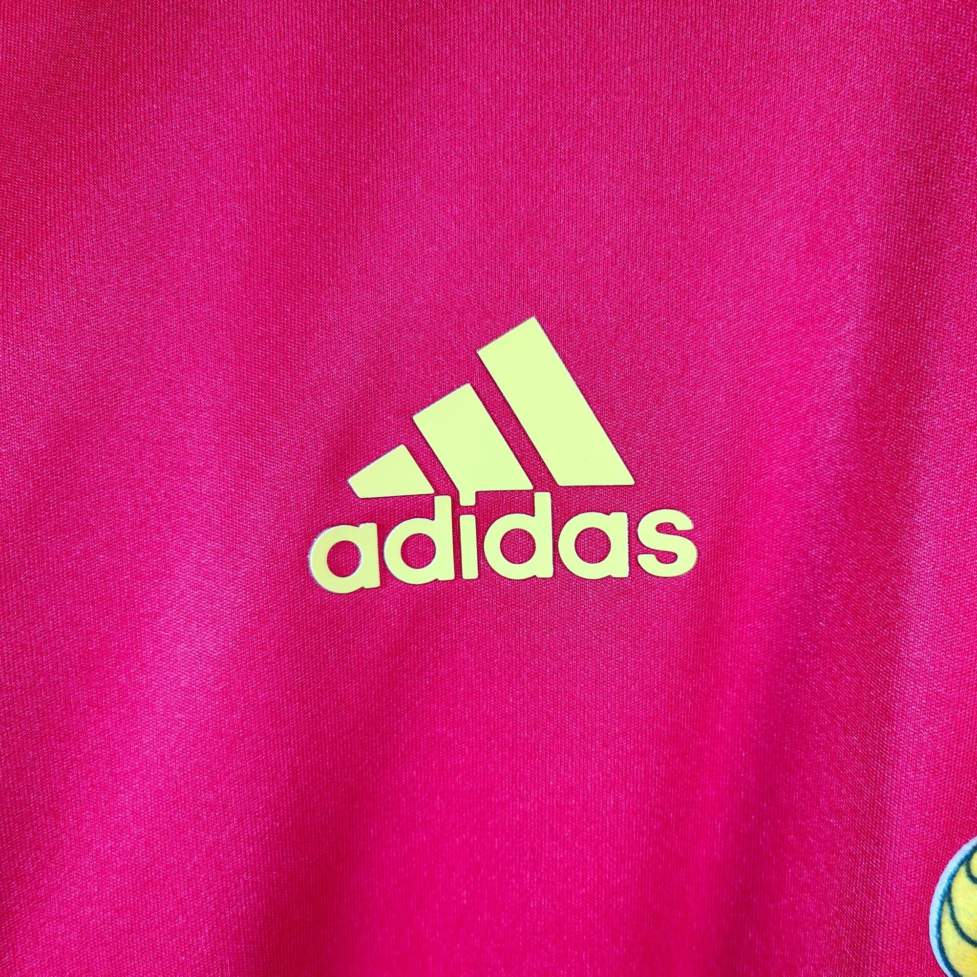 2012 - 13 FC Basel Player Version Home Shirt LS Salah 22 - 9.5/10 - (L) - Eternal Pitch