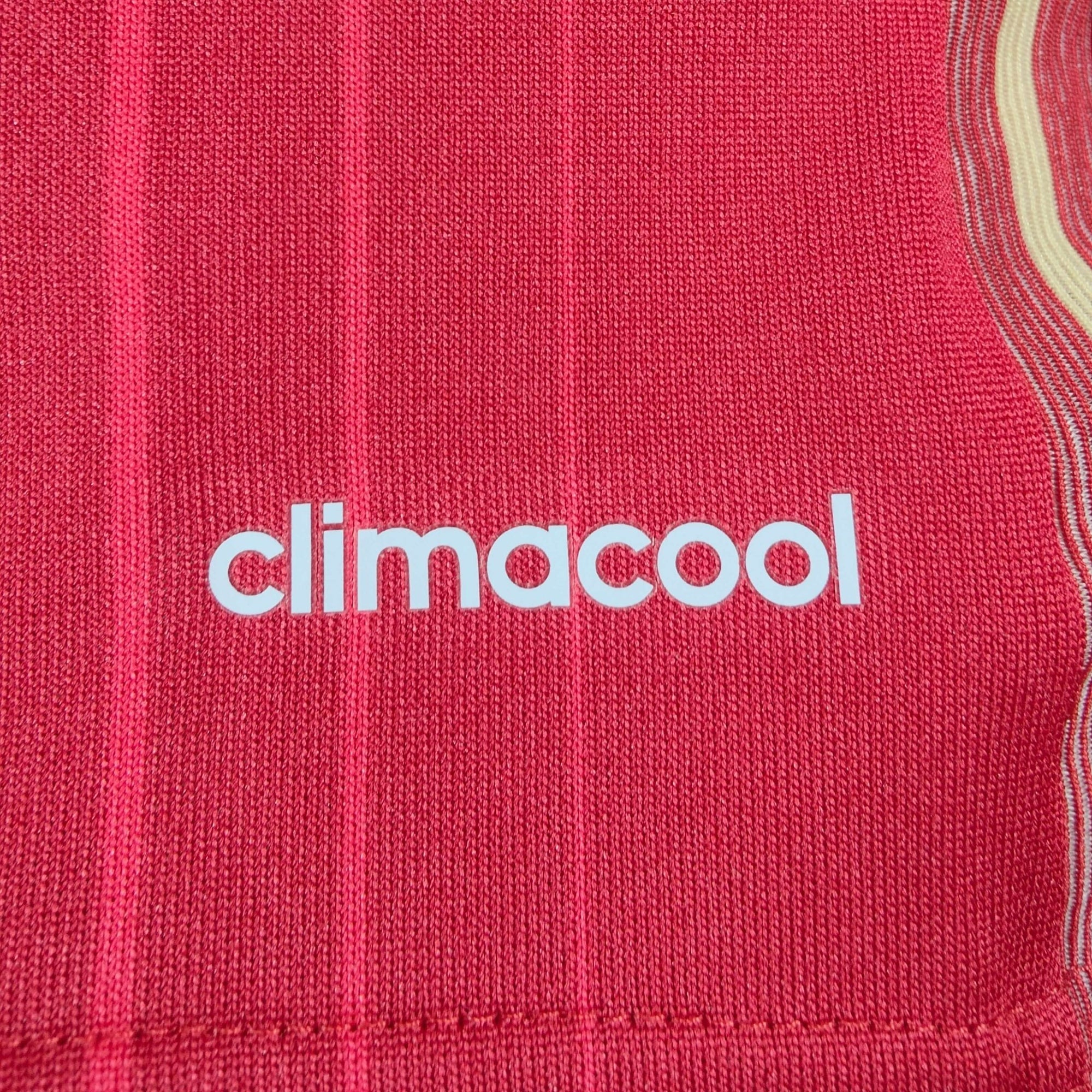 2013 - 15 Spain Home Shirt Iniesta 6 - 9.5/10 - (M) - Eternal Pitch