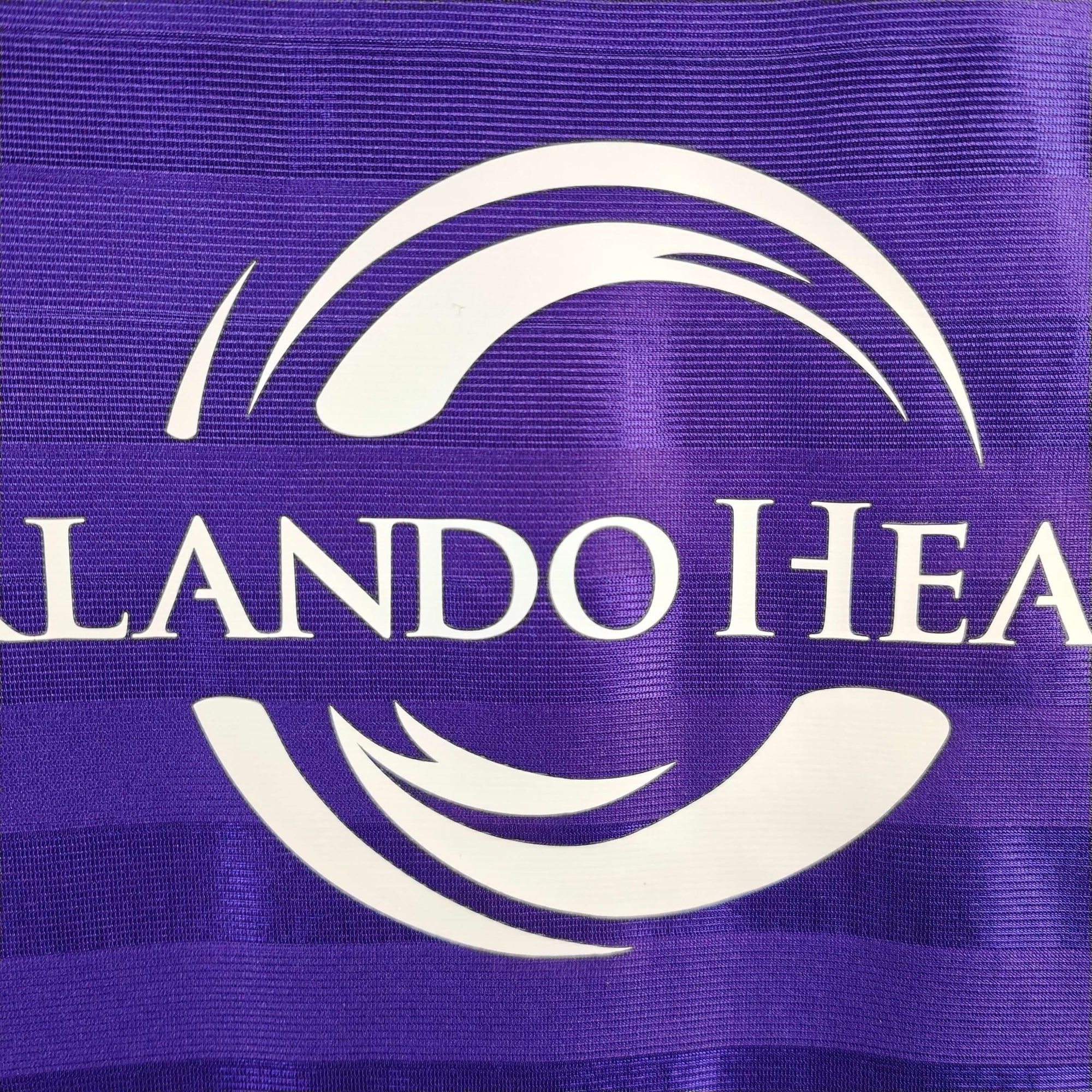 2015 - 16 Orlando City Home Shirt Player Version Kaka 10 - 9.5/10 - (S) - Eternal Pitch