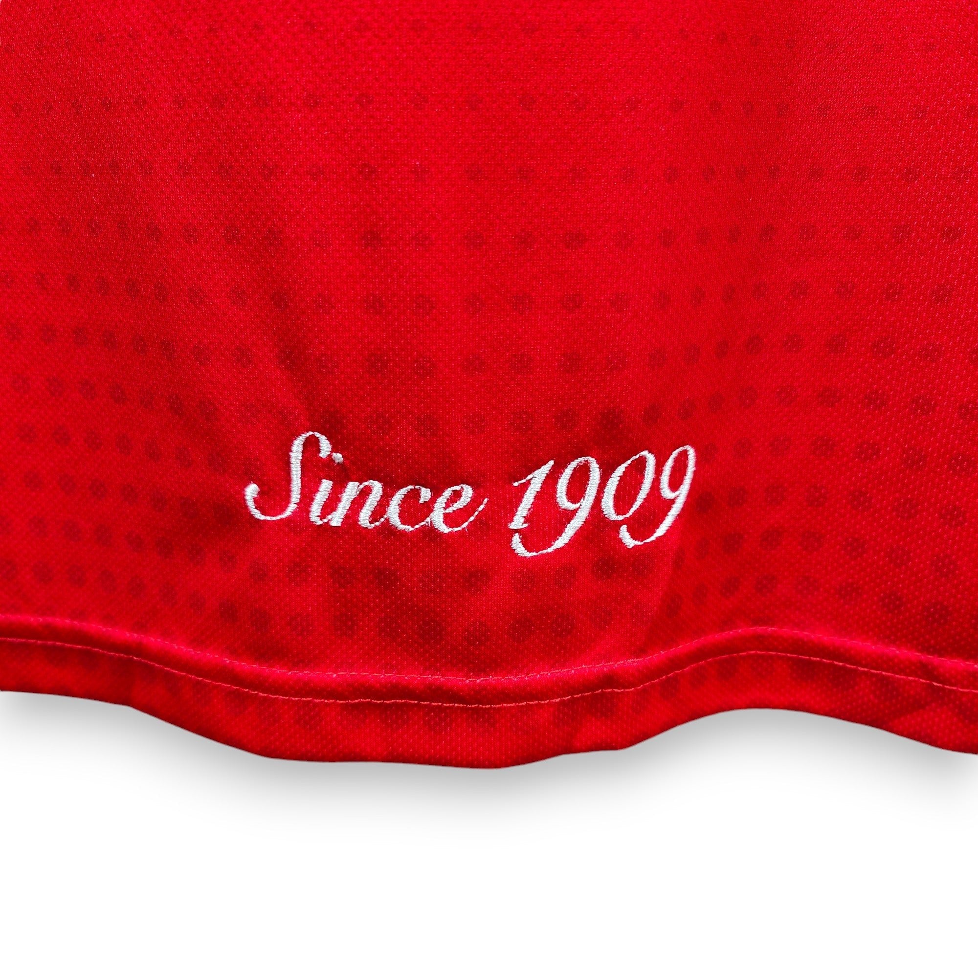 2016 - 17 FC Sion Home Shirt - 8.5/10 - (L) - Eternal Pitch