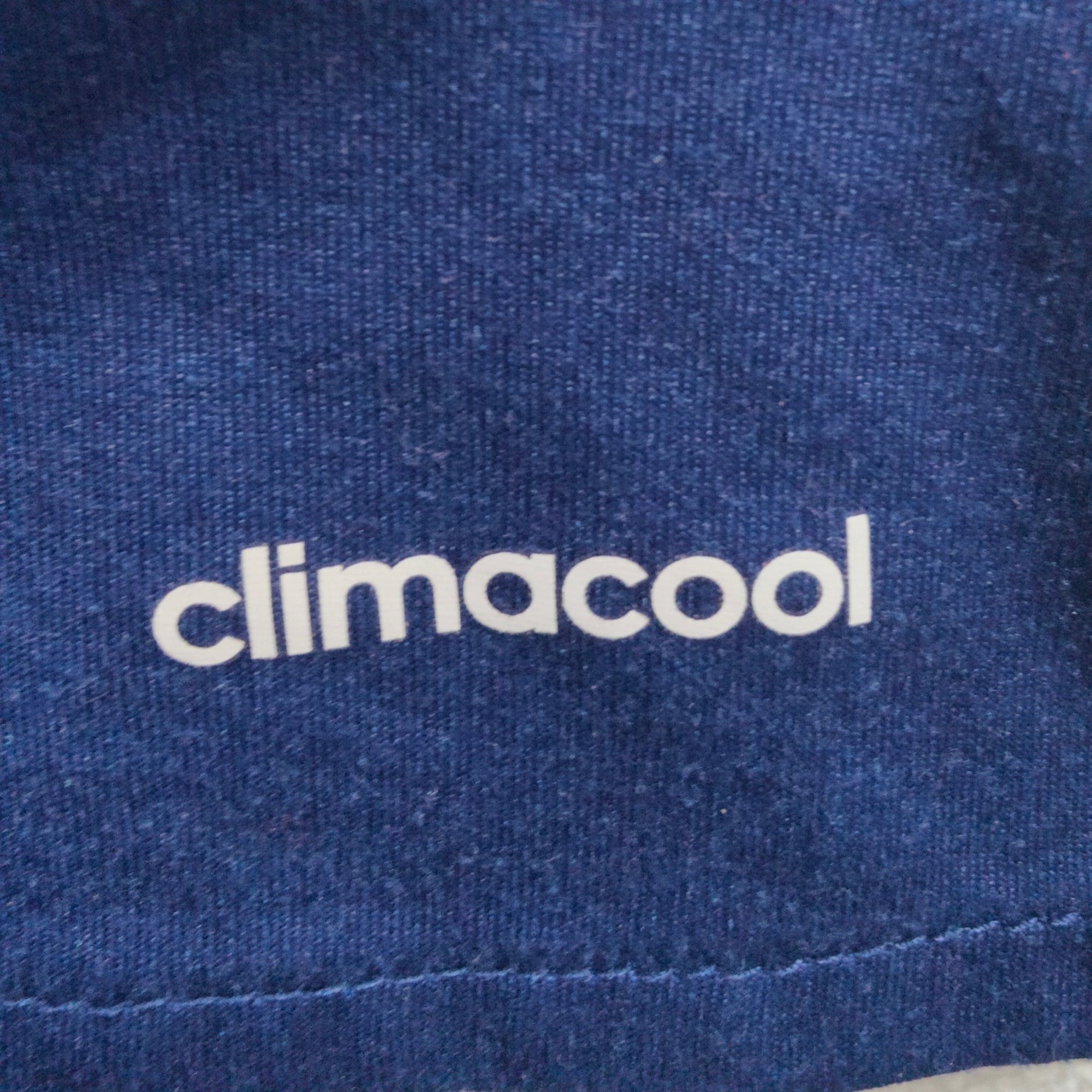 2016 - 17 Schalke 04 Home Shirt Embolo 36 - 8.5/10 - (M) - Eternal Pitch