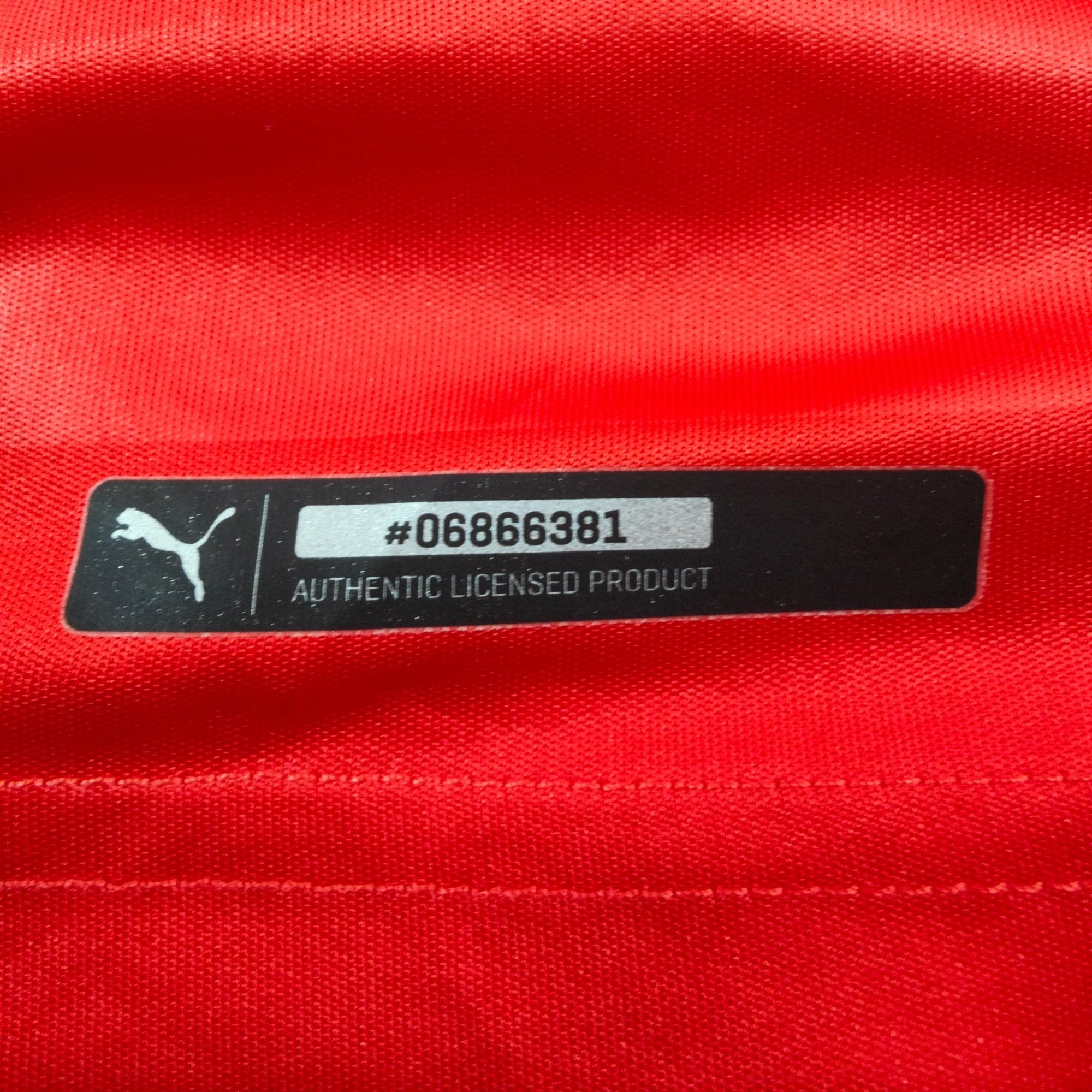 2016 - 17 Switzerland Home Shirt (L) - Eternal Pitch