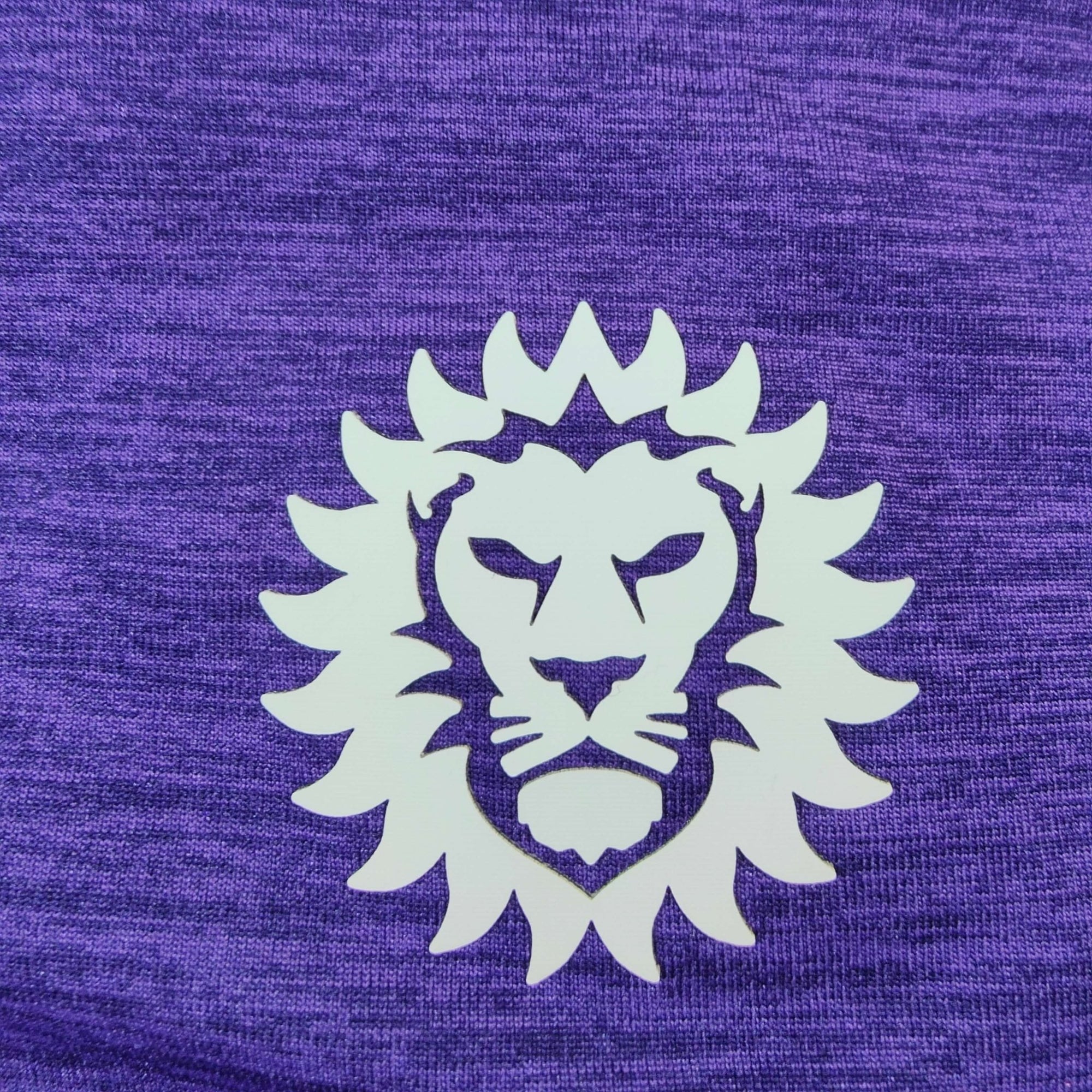 2017 - 18 Orlando City Player Version home Shirt Kaka 10 - 9/10 - (L) - Eternal Pitch