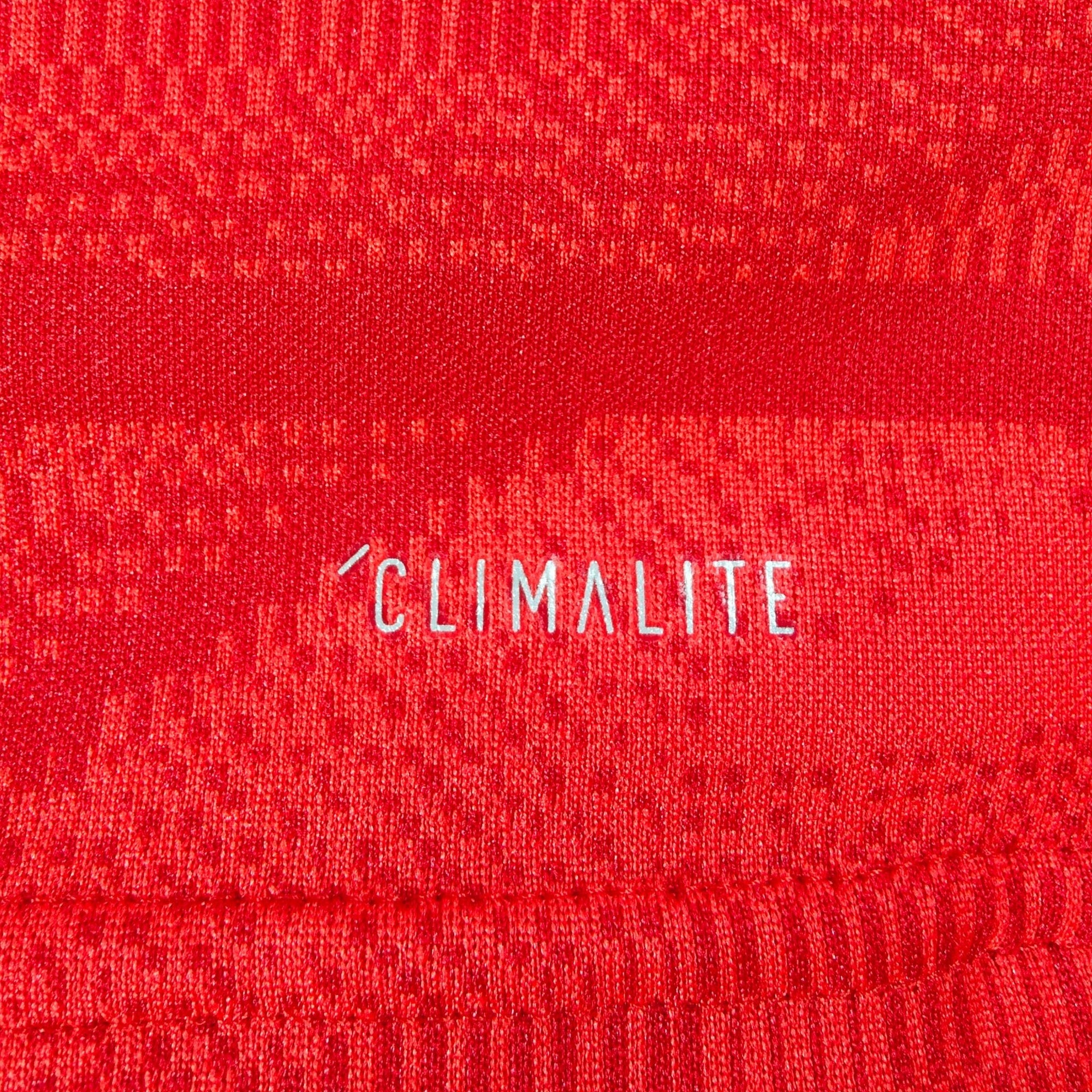 2019 - 20 Bayern Munich Home Shirt Lewandowski 9 - 9.5/10 - (L) - Eternal Pitch