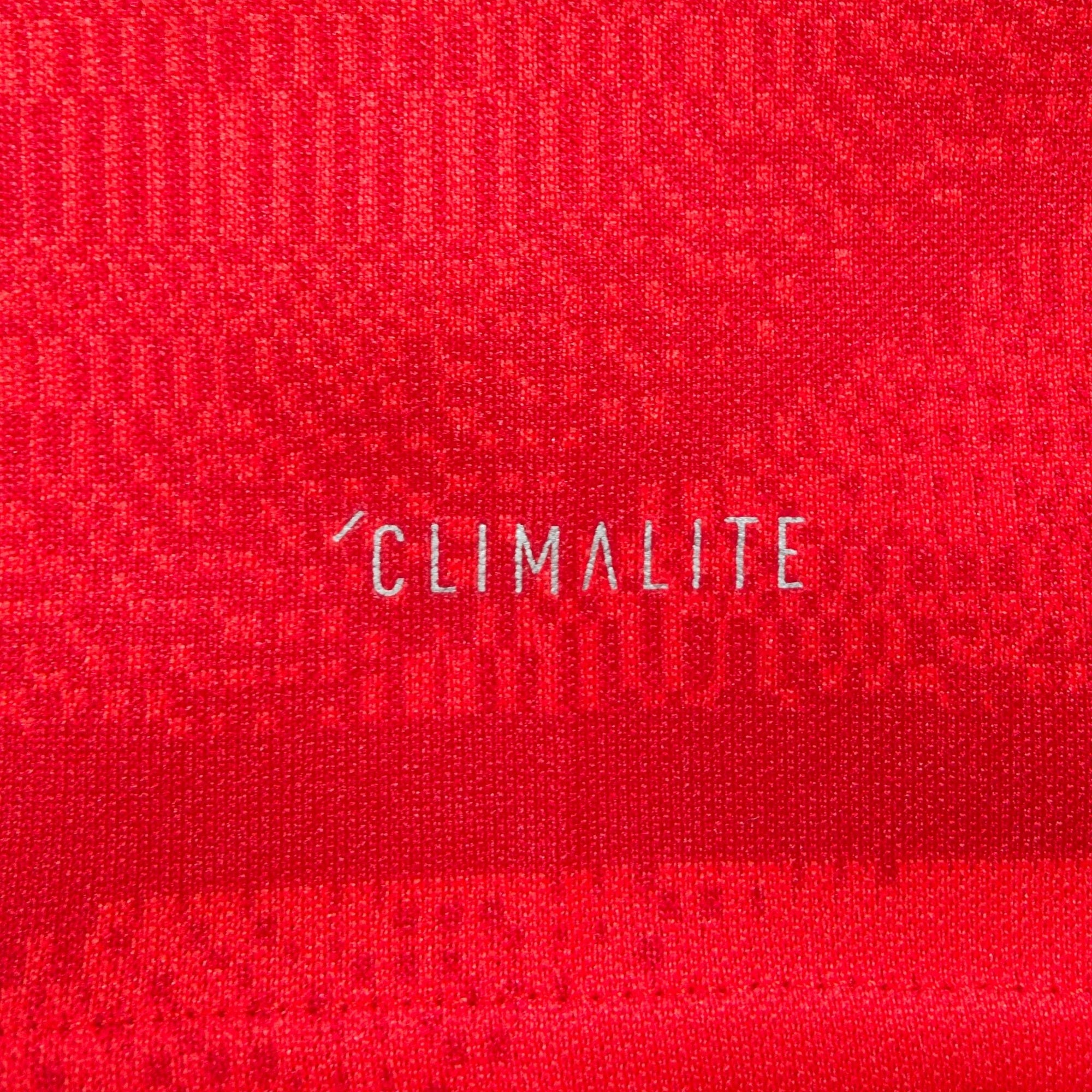 2019 - 20 Bayern Munich Home Shirt Lewandowski 9 - 9.5/10 - (M) - Eternal Pitch