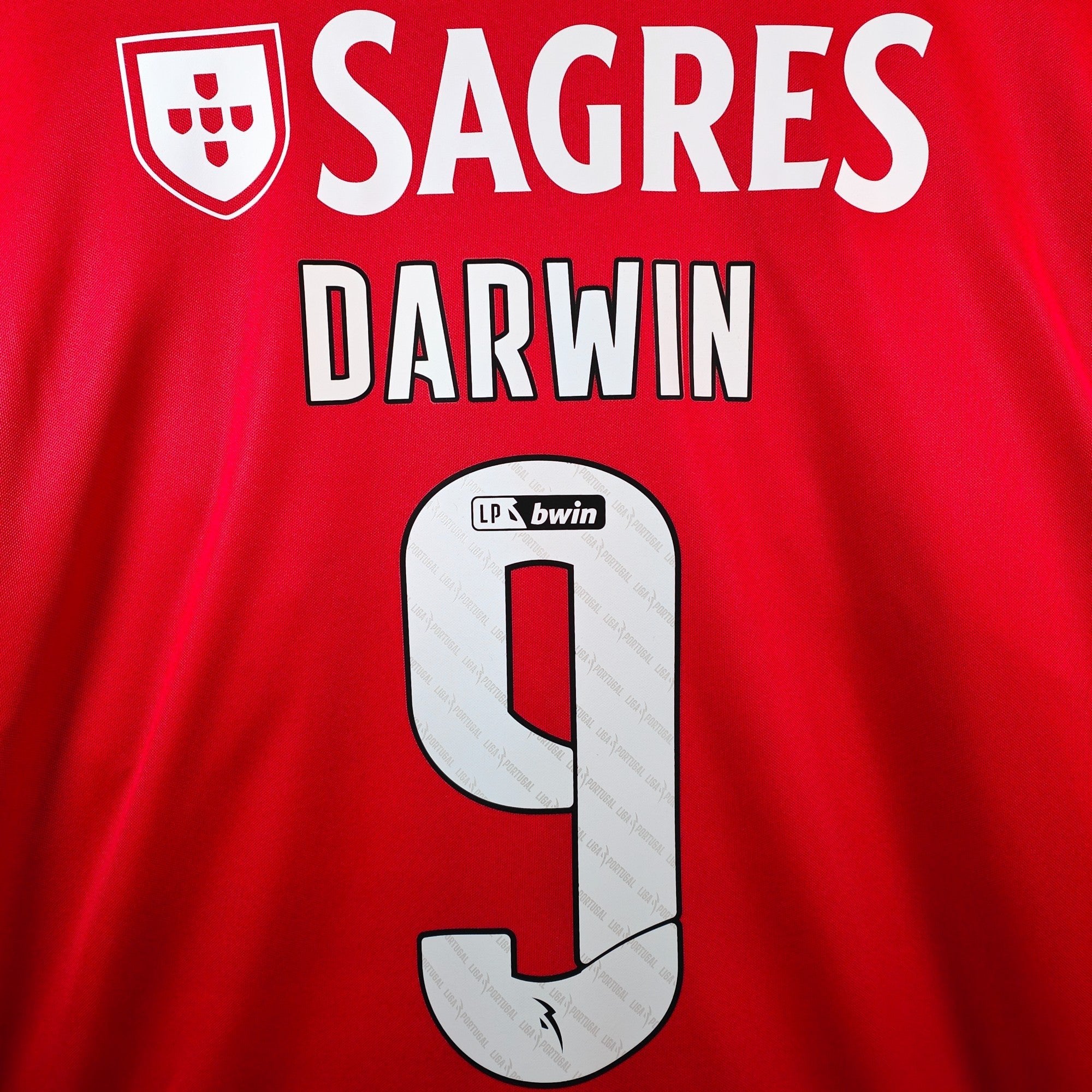 2021 - 22 Benfica Home Shirt Darwin 9 - 9/10 - (L) - Eternal Pitch