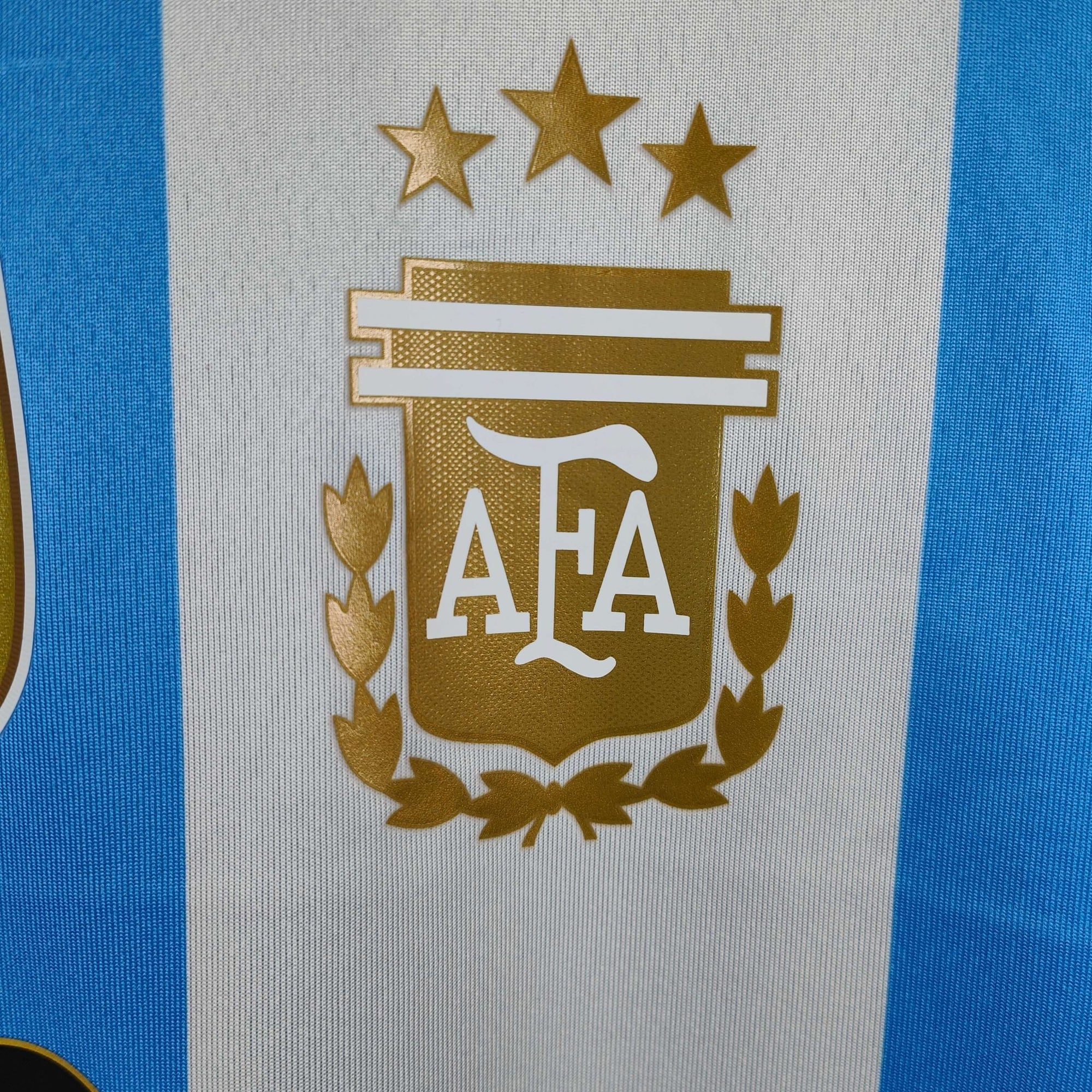 2024 - 25 Argentina Player Version Home Shirt Messi 10 - 9.5/10 - (XL) - Eternal Pitch