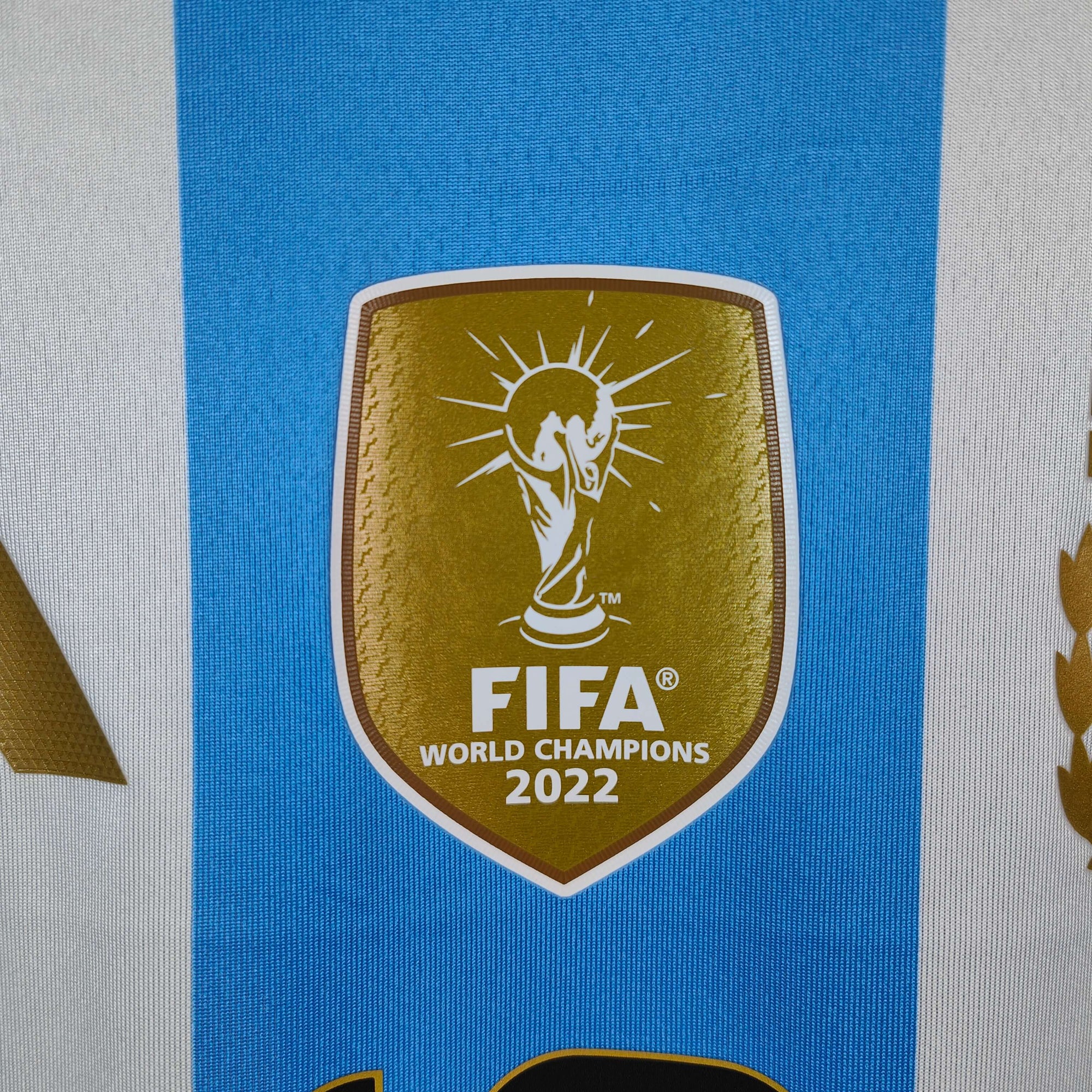 2024 - 25 Argentina Player Version Home Shirt Messi 10 - 9.5/10 - (XL) - Eternal Pitch