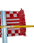 Vicenza Forza Biancorossi Scarf