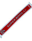 Super Bowl 2017 Scarf