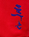 2006-08 South Korea Home Shirt Jisung (Park) 