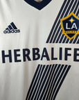 2013-14 Los Angeles Galaxy Home Shirt (L)