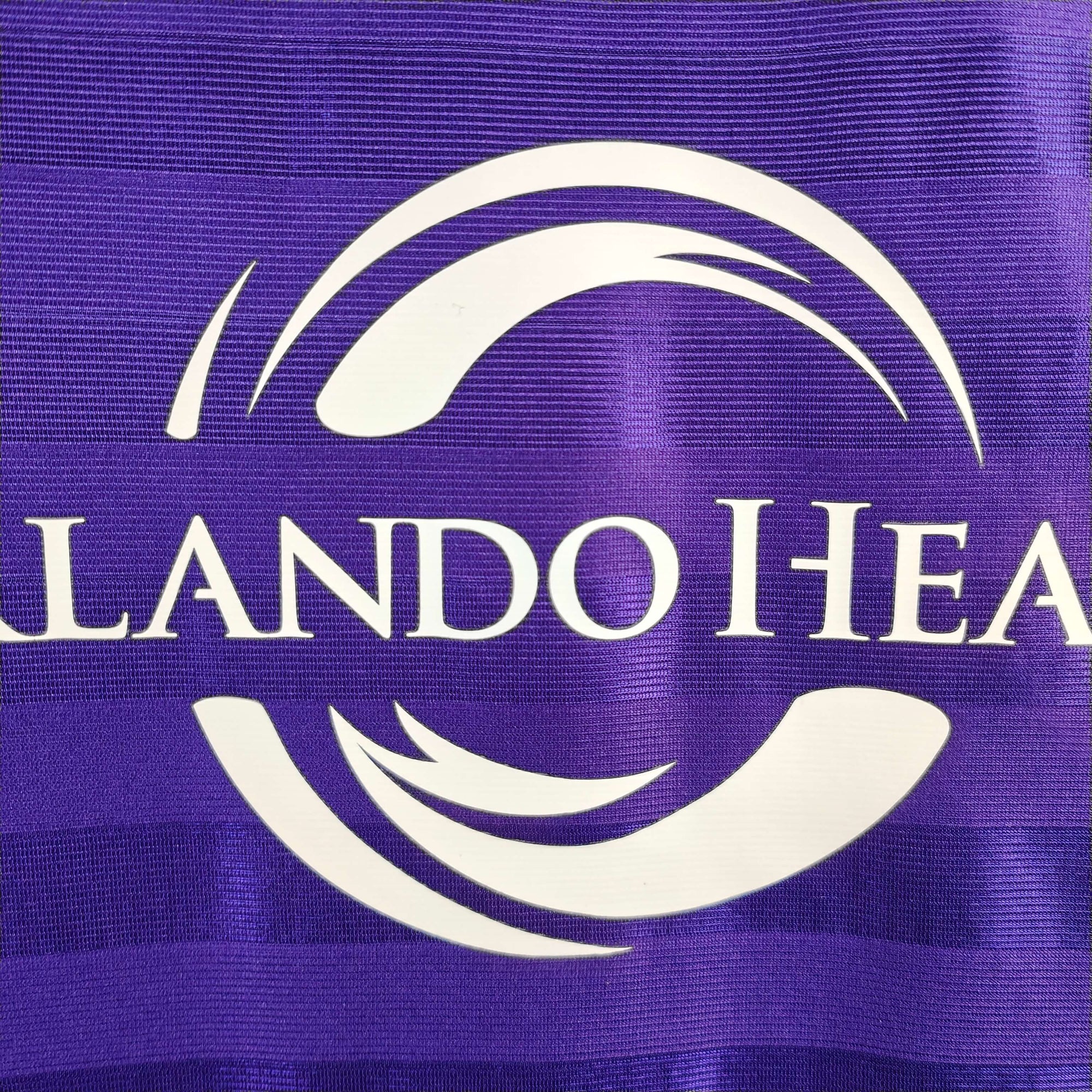 2015-16 Orlando City Home Shirt Player Version Kaka 